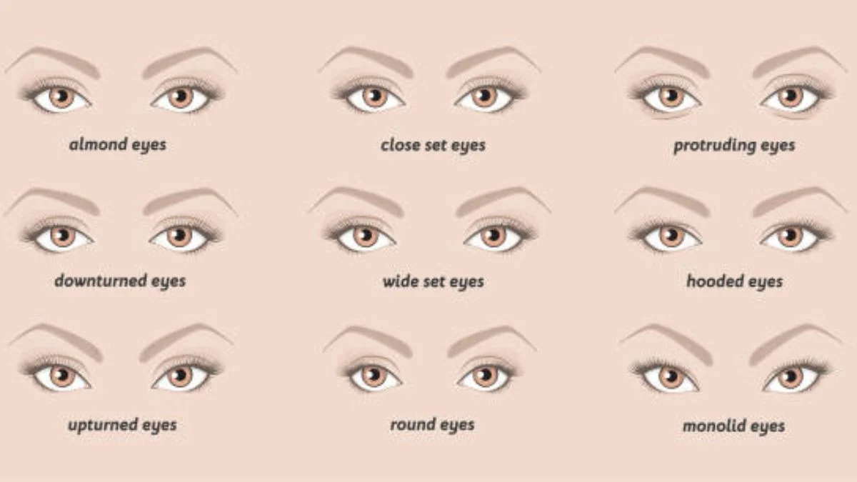 Upturned Eyes: The Ultimate Guide — Celebrities, Traits & Expert Makeup Tips