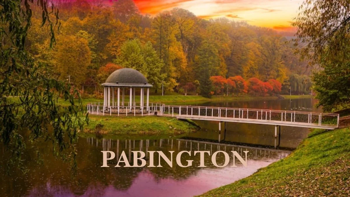 Pabington Travel Guide: Exploring History, Culture, and Charm